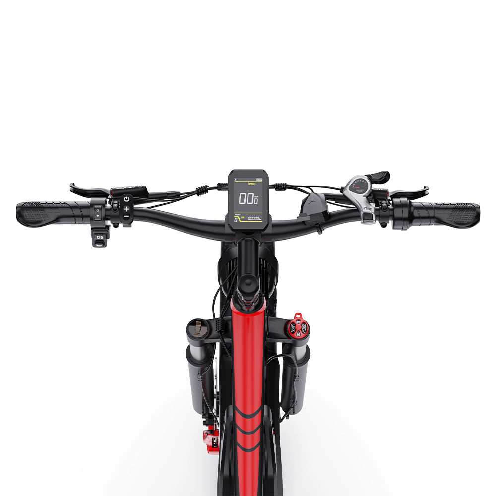 302-DUOTTS S26 Electric Bike