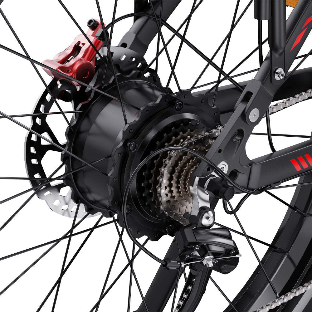 302-DUOTTS S26 Electric Bike