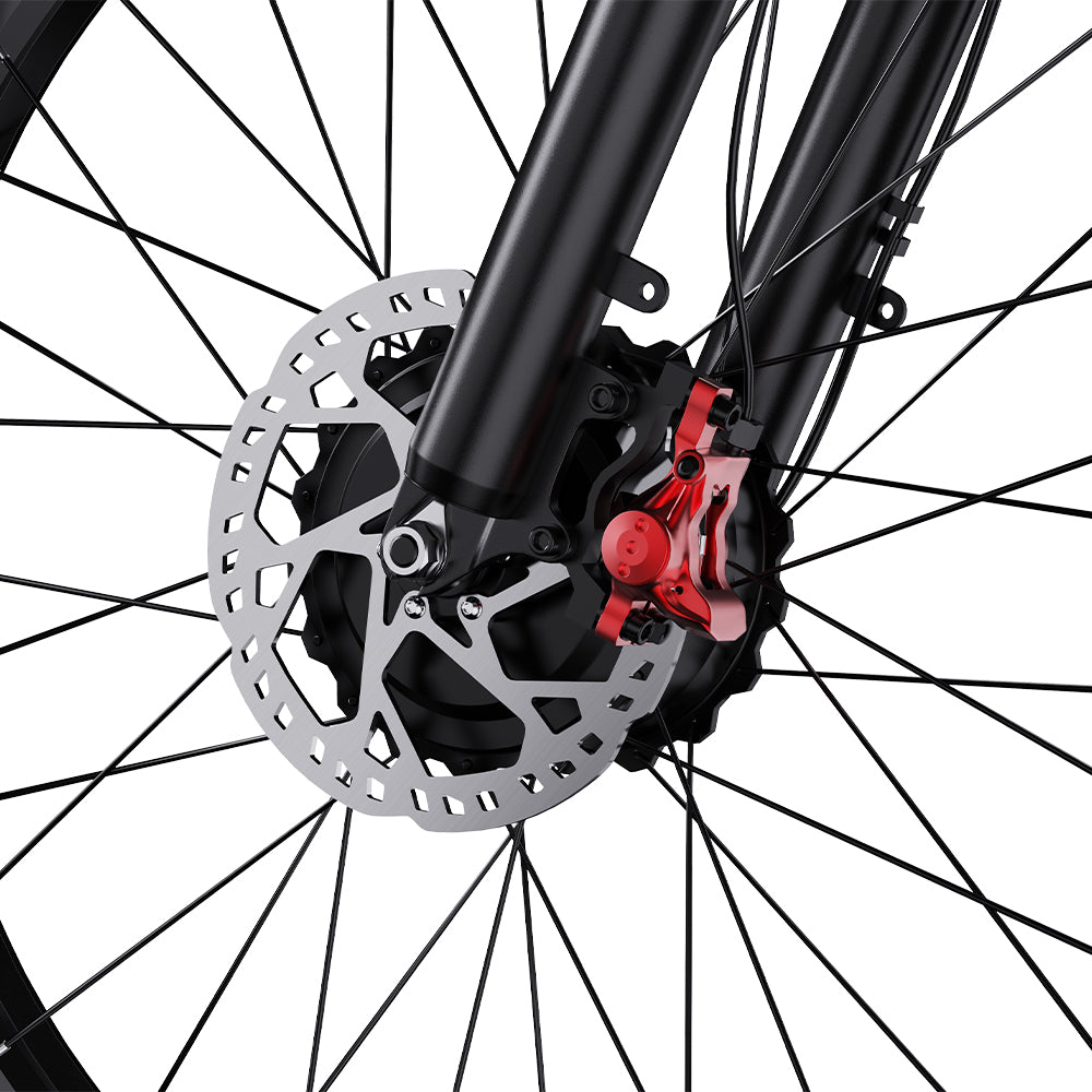 302-DUOTTS S26 Electric Bike