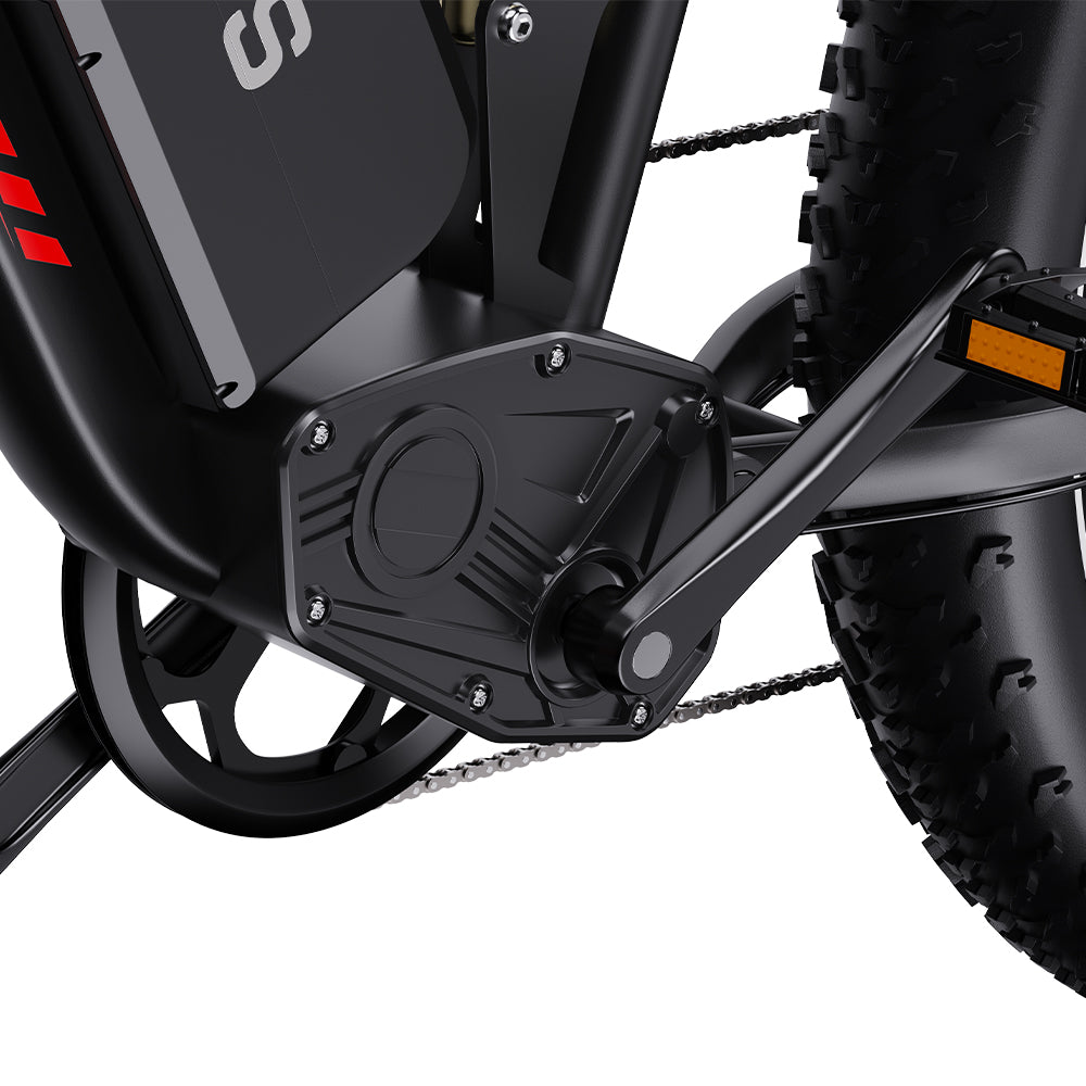 302-DUOTTS S26 Electric Bike