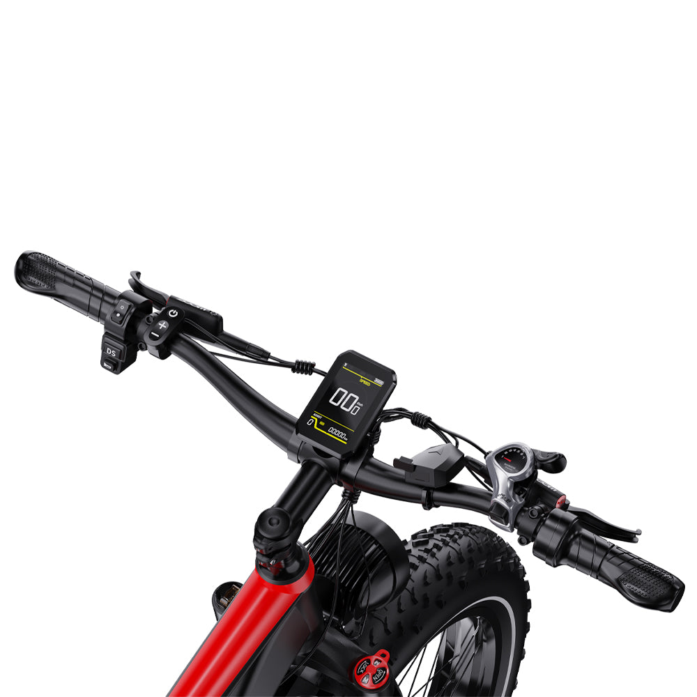 302-DUOTTS S26 Electric Bike