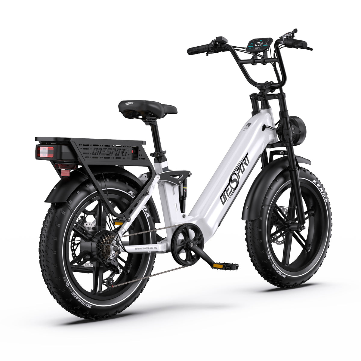208-OT08 Pro Full Suspension Off-Road Electric Bike