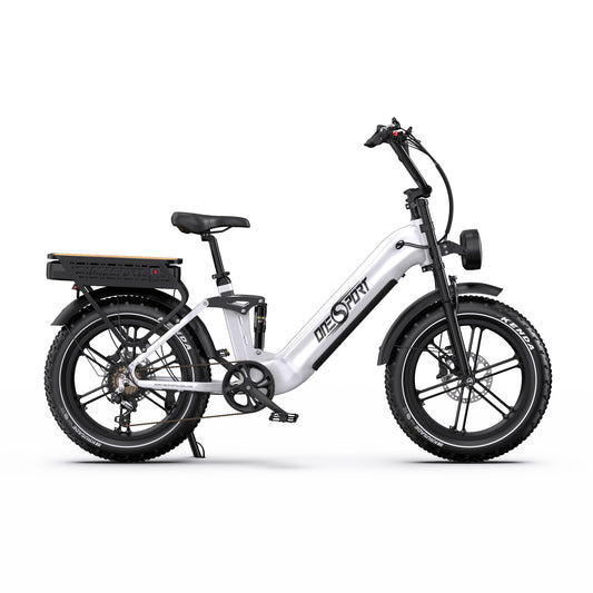 208-OT08 Pro Full Suspension Off-Road Electric Bike