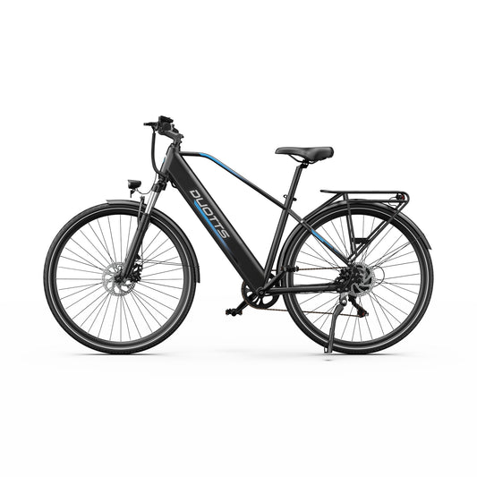 305-DUOTTS C29 Lite Electric Bike