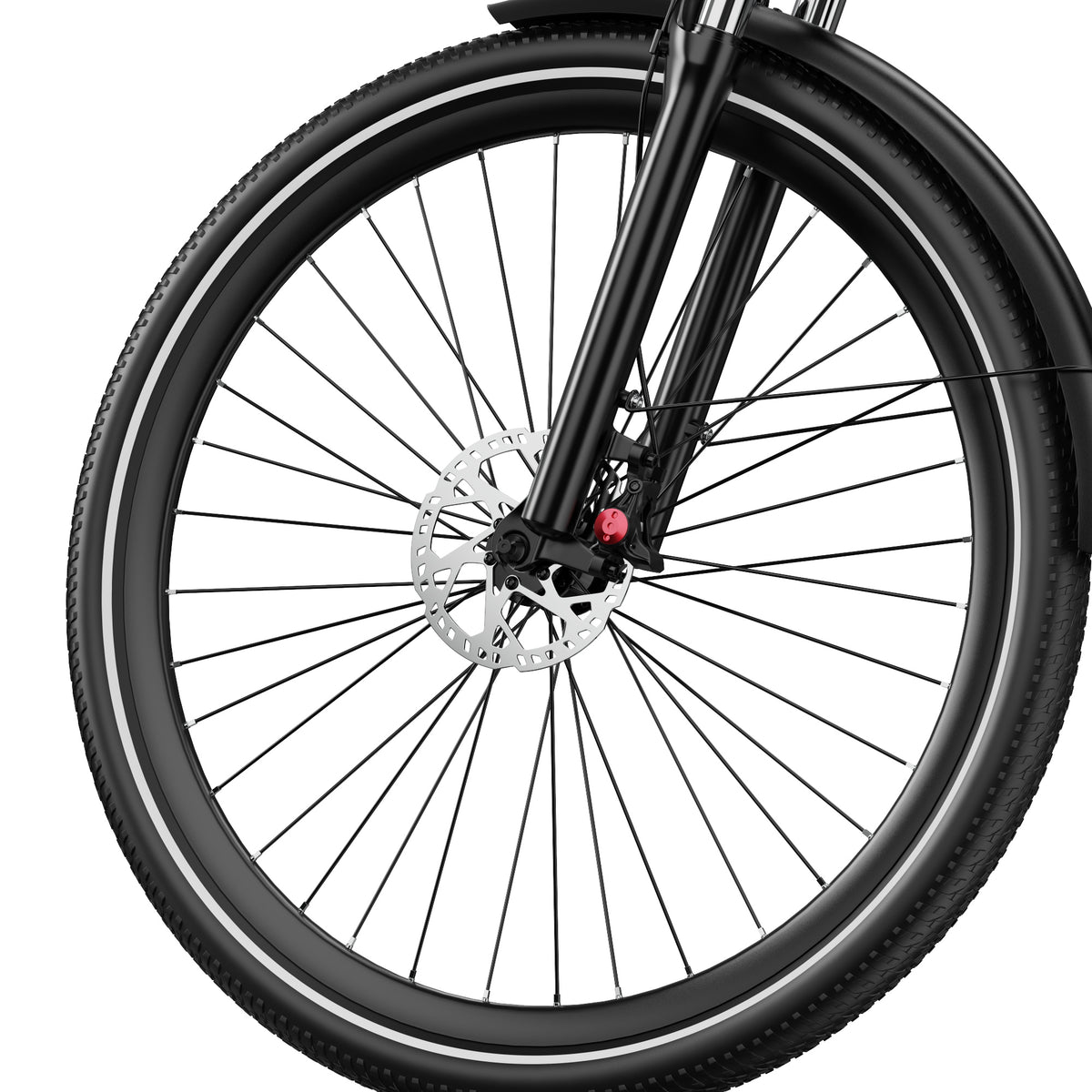 307-DUOTTS C29 Max Electric Bike