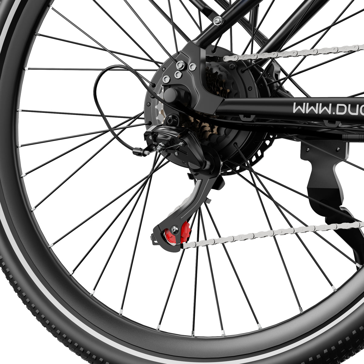 307-DUOTTS C29 Max Electric Bike