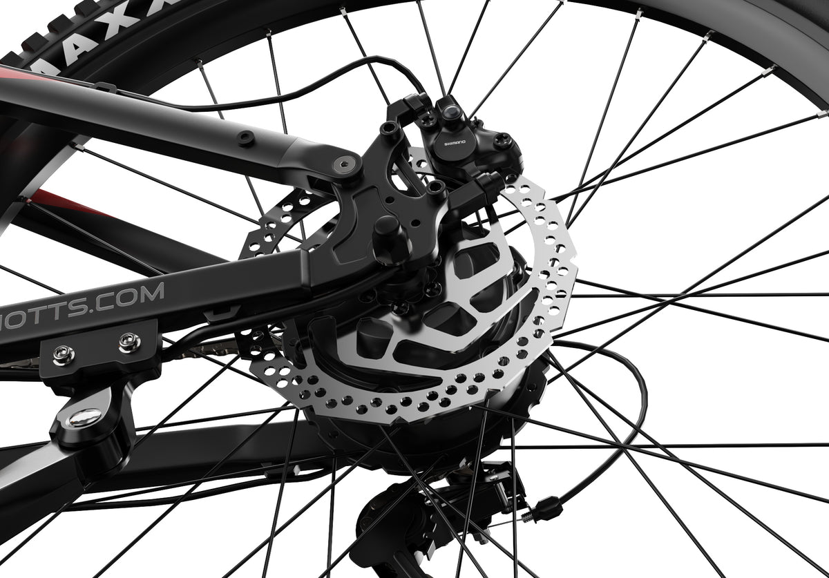306-DUOTTS E29 Electric Mountain Bike