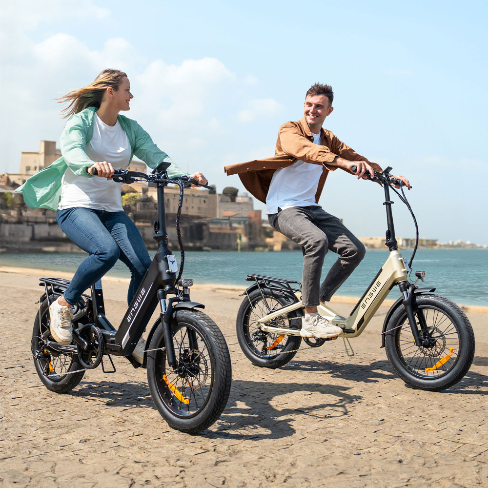 108-Engwe L20 3.0 Boost Folding Electric Bike