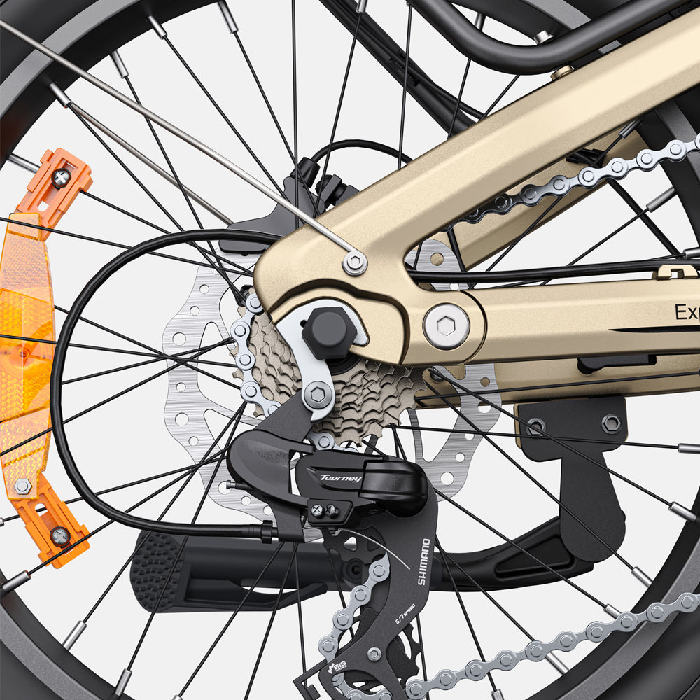 107-Engwe L20 3.0 Pro Folding Electric Bike