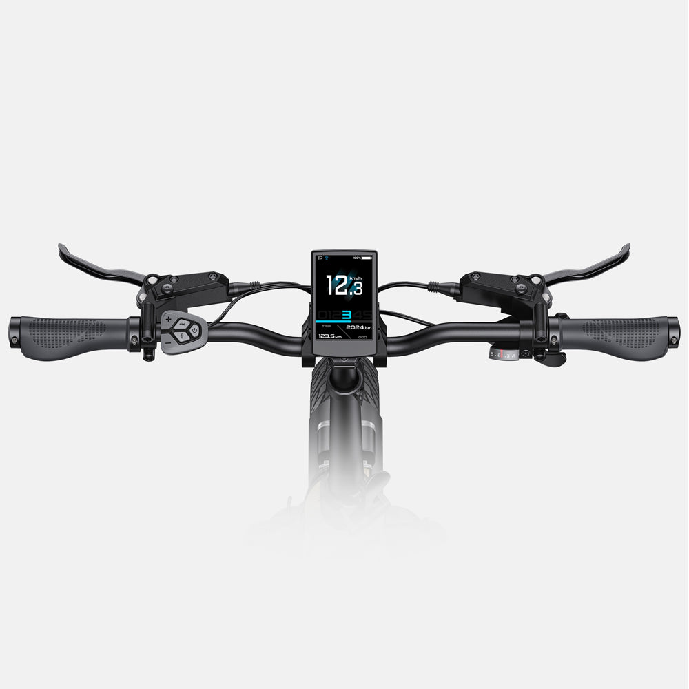 107-Engwe L20 3.0 Pro Folding Electric Bike
