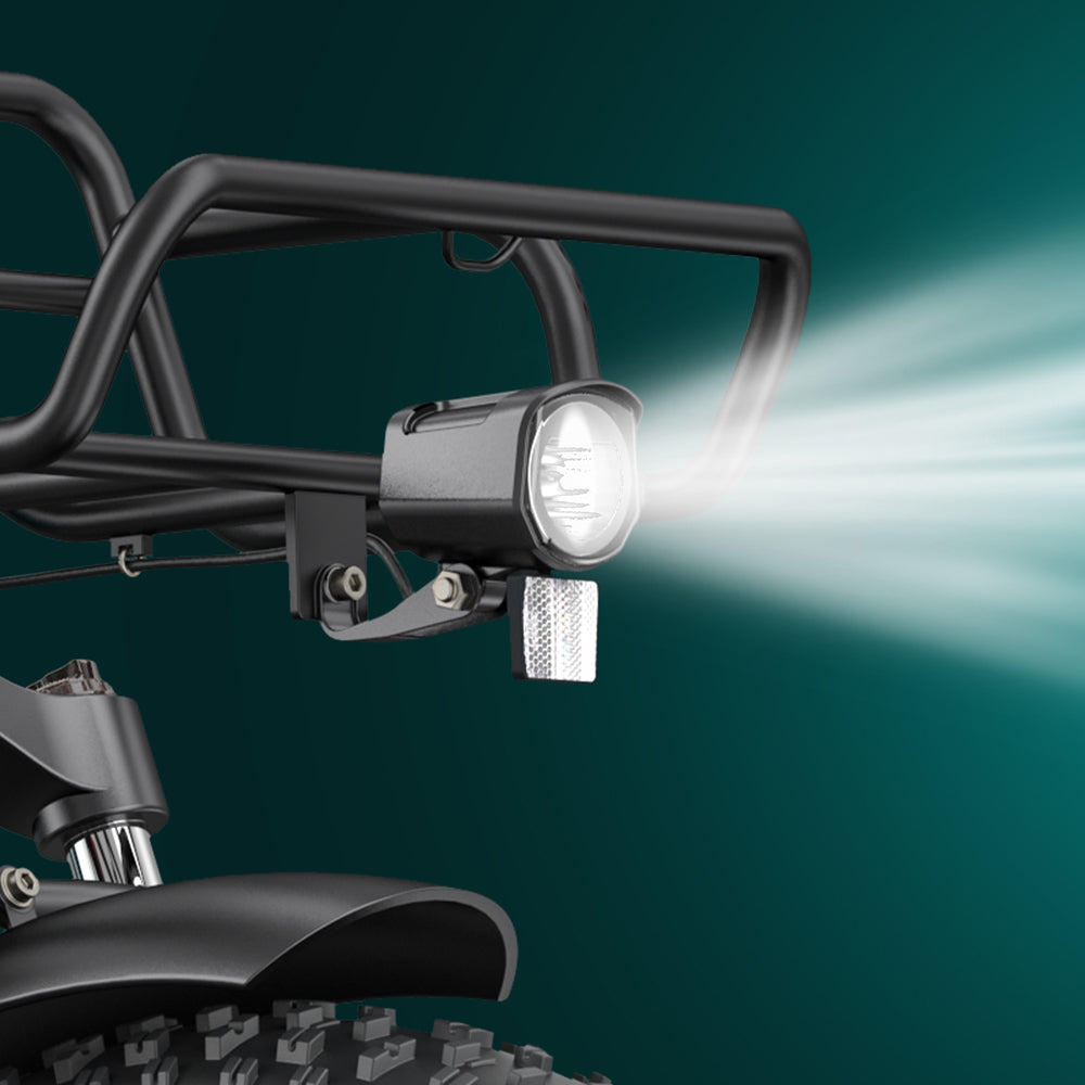 103-Engwe L20 Boost Electric Fat Tyre Bike