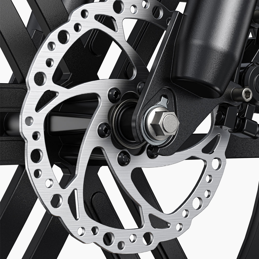 103-Engwe L20 Boost Electric Fat Tyre Bike