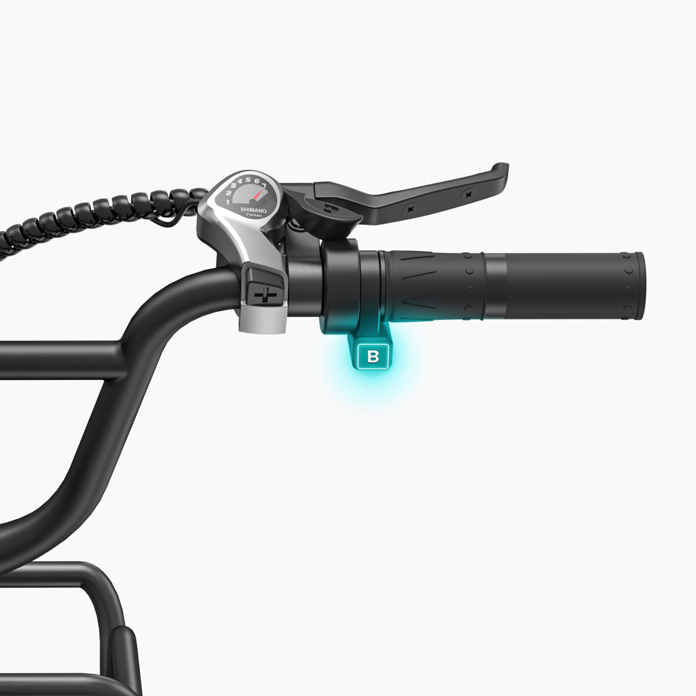 103-Engwe L20 Boost Electric Fat Tyre Bike