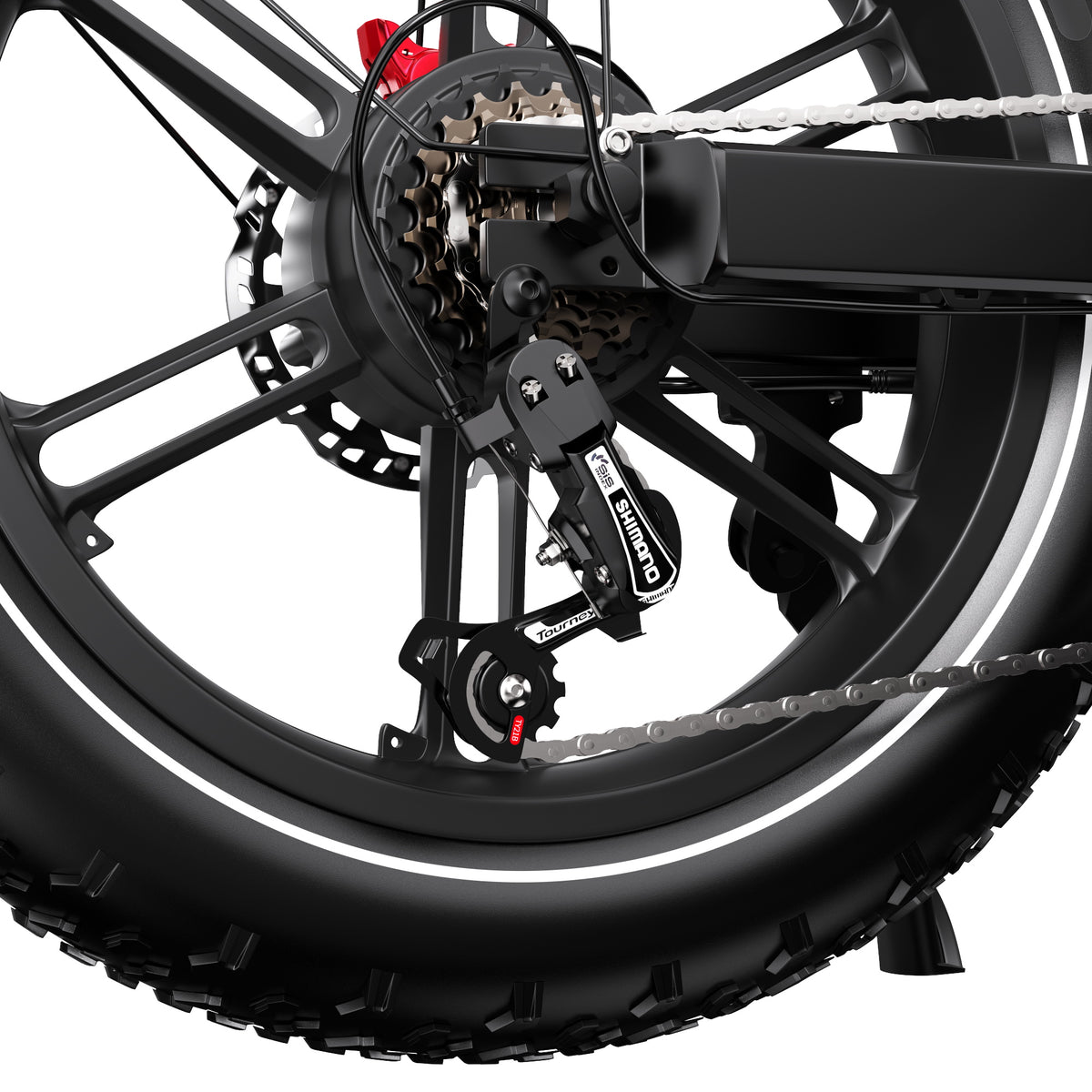 309-DUOTTS F20 Electric Bike