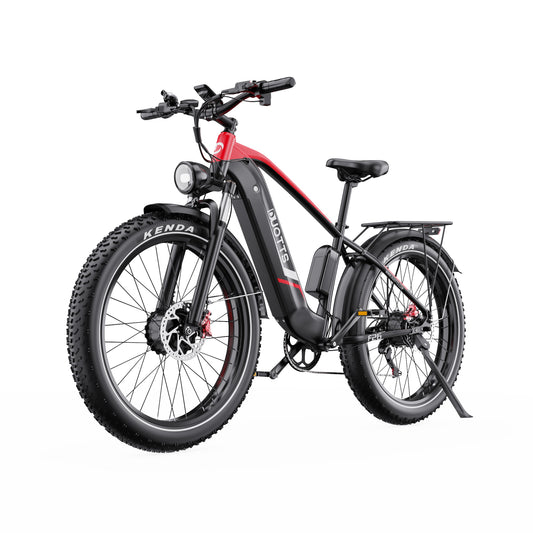 303-DUOTTS F26 Electric Bike