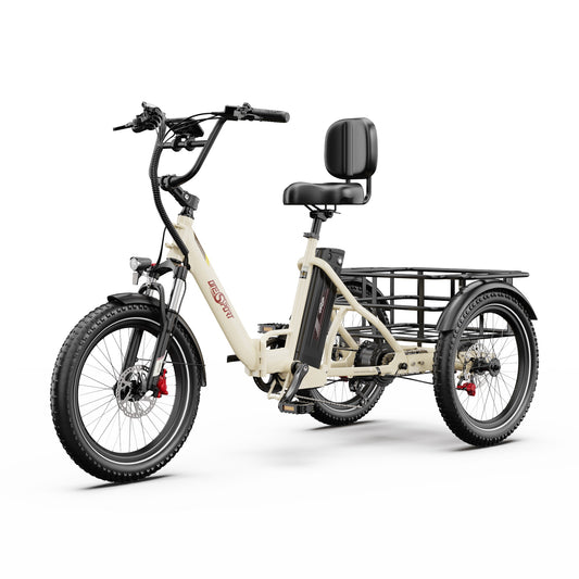 210-Onesport OT30 Pro Electric Trike