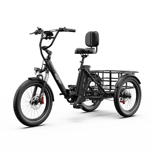 210-Onesport OT30 Pro Electric Trike